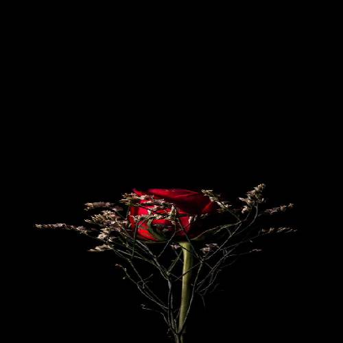 آیدا شاه قاسمی دختر قوچانی 